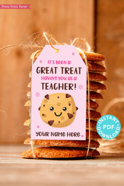 EDITABLE Teacher Appreciation Gift Tags Printable for Cookies 