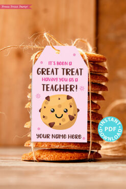 EDITABLE Teacher Appreciation Gift Tags Printable for Cookies "It's Been a Great Treat Having You as a Teacher", Thank You, INSTANT DOWNLOAD pink tag