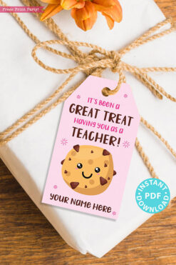 EDITABLE Teacher Appreciation Gift Tags Printable for Cookies "It's Been a Great Treat Having You as a Teacher", Thank You, INSTANT DOWNLOAD pink tag