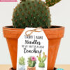 EDITABLE Teacher Appreciation Gift Tags Printable, Teacher Thank You Gift Tags, Cactus Pun, Needles to Say Great Teacher, INSTANT DOWNLOAD