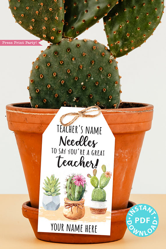 EDITABLE Teacher Appreciation Gift Tags Printable, Teacher Thank You Gift Tags, Cactus Pun, Needles to Say Great Teacher, INSTANT DOWNLOAD