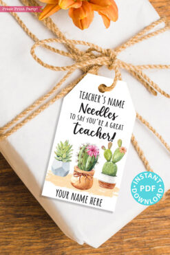 EDITABLE Teacher Appreciation Gift Tags Printable, Teacher Thank You Gift Tags, Cactus Pun, Needles to Say Great Teacher, INSTANT DOWNL