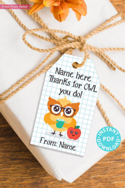 EDITABLE Teacher Appreciation Gift Tags Printable, Thank You Gift for Teacher or Staff, "Thanks for Owl you do!" INSTANT DOWNLOAD