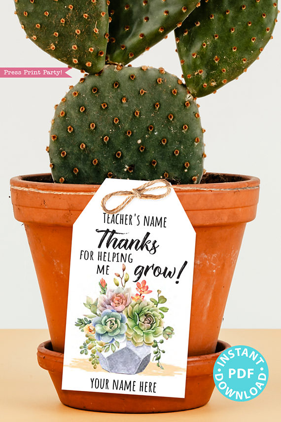 EDITABLE Teacher Appreciation Gift Tags Printable, Teacher Thank You Gift Tags, Pun, Thanks for helping me grow, INSTANT DOWNLOAD