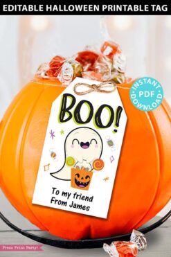 EDITABLE Halloween Tag Printable, Boo, Halloween Party Favors, Goodie Bag, Kids Halloween, Treat Bag, Candy Bag Tag, INSTANT DOWNLOAD