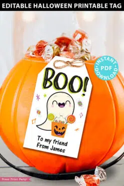 EDITABLE Halloween Tag Printable, Boo, Halloween Party Favors, Goodie Bag, Kids Halloween, Treat Bag, Candy Bag Tag, INSTANT DOWNLOAD