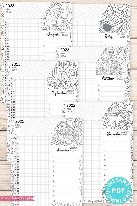 2021-2022 Daily Routine Printables, Habit Tracker Printable, Adult Coloring, Bullet Journal, Daily Tracker Goal Planner, INSTANT DOWNLOAD