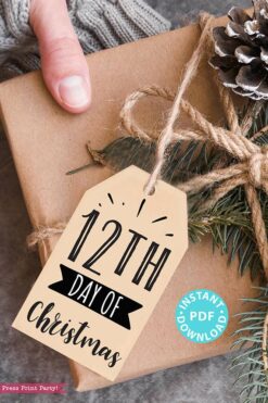 12 days of Christmas Tags Printable, Rustic, Secret Santa Gift Tags, 12 Days of Christmas Poem Tags, Books, Wine, Ornament, INSTANT DOWNLOAD press print party