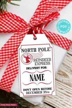 EDITABLE Christmas Gift Tags Printable, for Kids Christmas, Holiday gift Tag, Santa mail, North Pole Mail, Unique Gift Tag, INSTANT DOWNLOAD press print party