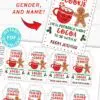 EDITABLE Christmas Teacher Gift Tags Printable for Cookies /Cocoa "If you give a teacher a cookie he/she'll want cocoa" INSTANT DOWNLOAD Press Print Party