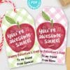 Applesauce Valentine Tag for Kids Printable, For Apple Sauce Pouch, You're Awesomesauce, Classroom Valentines, Editable, INSTANT DOWNLOAD by Press Print Party