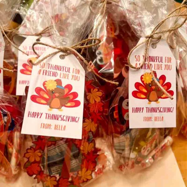 Gift bags feature tags reading "I ❤ Our Friend-chip" with festive Valentine designs. Each is wrapped in clear plastic, tied with twine, and includes a vibrant chip bag inside.