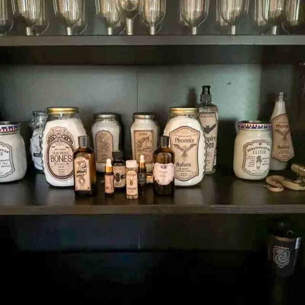 A shelf displays various jars, bottles, and a curious chip bag labeled "I ❤ Our Friend-chip," with mystical names like "Dragon Bones" and "Phoenix Ashes." The containers vary in size and are neatly arranged against a dark backdrop.