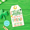 Friend Gift Tag Printable, St. Patrick's Day, Editable text, Lottery Ticket, Lotto Card, Friend Appreciation Gift, INSTANT DOWNLOAD Press Print Party