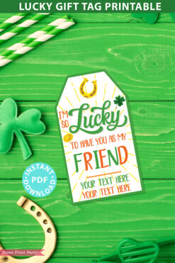 Friend Gift Tag Printable, St. Patrick's Day, Editable text, Lottery Ticket, Lotto Card, Friend Appreciation Gift, INSTANT DOWNLOAD Press Print Party