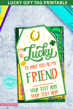 Friend Gift Tag Printable, St. Patrick's Day, Editable text, Lottery Ticket, Lotto Card, Friend Appreciation Gift, INSTANT DOWNLOAD Press Print Party