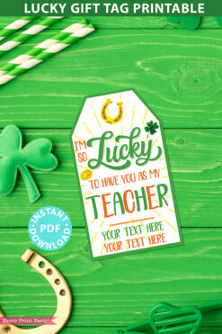 Teacher Gift Tag Printable, St. Patrick's Day, Editable text, Lottery Ticket, Lotto Card, Teacher Appreciation Gift, INSTANT DOWNLOAD Press Print Party