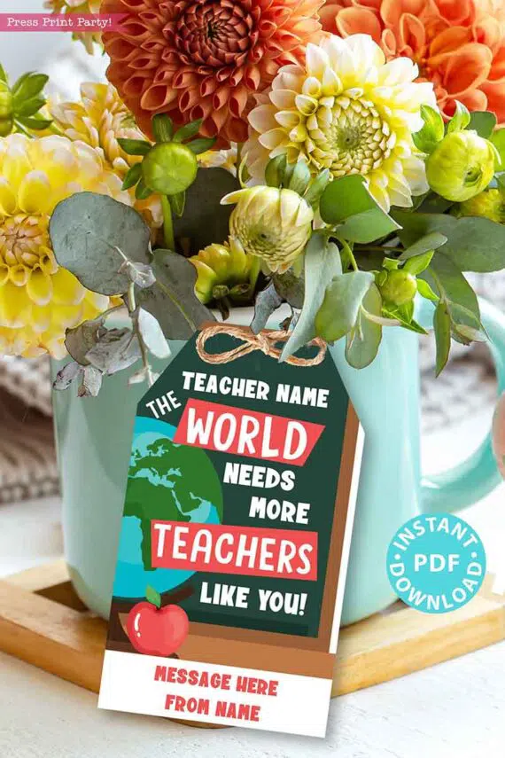 EDITABLE Teacher Appreciation Gift Tags Printable, Teacher Thank You Gift Tags, The World Needs More Teachers Like You, INSTANT DOWNLOAD Press Print Party