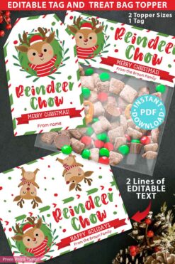 Reindeer Chow Christmas Treat Bag Toppers and Tag, Editable, Classroom Gift, Easy Holiday Gift, Christmas Snack Mix, INSTANT DOWNLOAD press print party