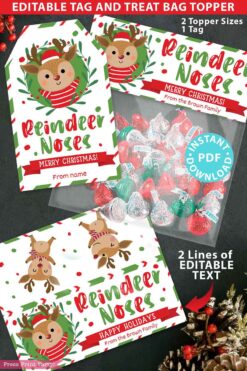 Reindeer Noses Christmas Treat Bag Toppers and Tag, Editable, Classroom Gift, Easy Holiday Gift, Christmas Snack Mix, INSTANT DOWNLOAD press print party