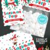 Snowman Poop Christmas Treat Bag Toppers and Tag, Editable, Classroom Gift, Easy Holiday Gift, Marshmallow, INSTANT DOWNLOAD press print party