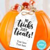 EDITABLE Halloween Tag Printable, No Tricks Just Treats, Halloween Favors, Thank You Goodie Bag, Halloween Treats, School, INSTANT DOWNLOAD Press Print Party