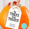 EDITABLE Halloween Tag Printable, No Tricks Just Treats, Halloween Favors, Thank You Goodie Bag, Halloween Treats, School, INSTANT DOWNLOAD Press Print Party