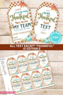 EDITABLE Thanksgiving Tags Printable, Thankful for You Gift Tag, Fall Tag for Teacher, Staff, Employees, Nurse, Rustic INSTANT DOWNLOAD Press Print Party thankful youre on my team