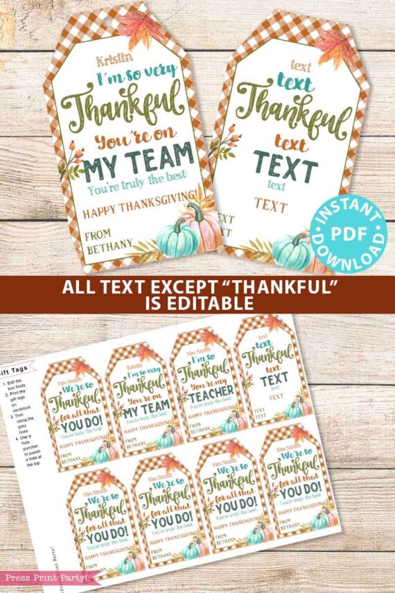 EDITABLE Thanksgiving Tags Printable, Thankful for You Gift Tag, Fall Tag for Teacher, Staff, Employees, Nurse, Rustic INSTANT DOWNLOAD Press Print Party thankful youre on my team