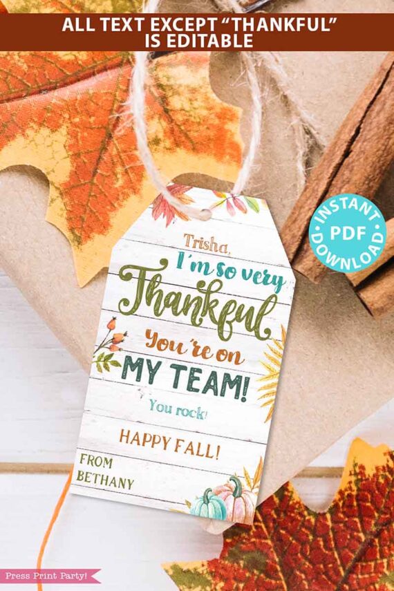 EDITABLE Thanksgiving Tags Printable, Thankful for You Gift Tag, Fall Tag for Teacher, Staff, Employees, Nurse, Rustic thankful you're on my teamNT DOWNLOAD Press Print Party