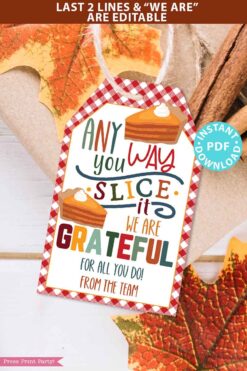 Fall Thanksgiving Tag for Pie, Thank You Gift Tags Printable, Any Way You Slice It, Grateful, Nurse, Staff, Editable, INSTANT DOWNLOAD Press Print Party
