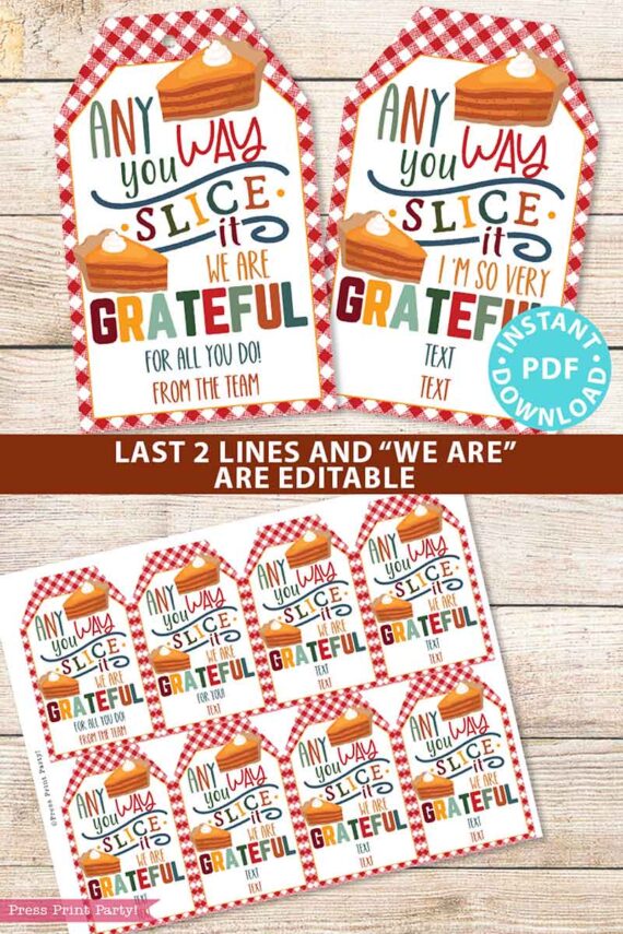 Fall Thanksgiving Tag for Pie, Thank You Gift Tags Printable, Any Way You Slice It, Grateful, Nurse, Staff, Editable, INSTANT DOWNLOAD Press Print Party