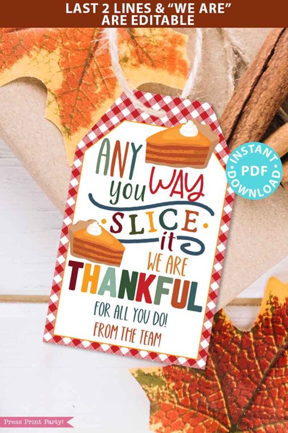 Fall Thanksgiving Tag for Pie, Thank You Gift Tags Printable, Any Way You Slice It, Thankful, Nurse, Staff, Editable, INSTANT DOWNLOAD Press Print Party