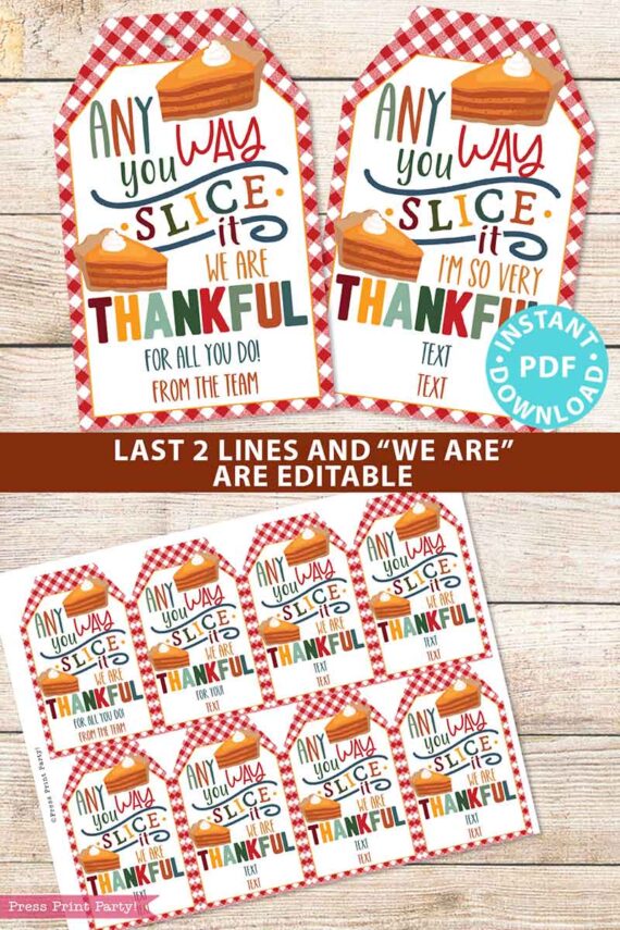 Fall Thanksgiving Tag for Pie, Thank You Gift Tags Printable, Any Way You Slice It, Thankful, Nurse, Staff, Editable, INSTANT DOWNLOAD Press Print Party pumpkin pie