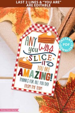 Fall Thanksgiving Tag for Pie, Thank You Gift Tags Printable, Any Way You Slice It You Are Amazing, Nurse, Staff, Editable, INSTANT DOWNLOAD Press Print Party