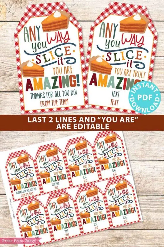 Fall Thanksgiving Tag for Pie, Thank You Gift Tags Printable, Any Way You Slice It You Are Amazing, Nurse, Staff, Editable, INSTANT DOWNLOAD Press Print Party