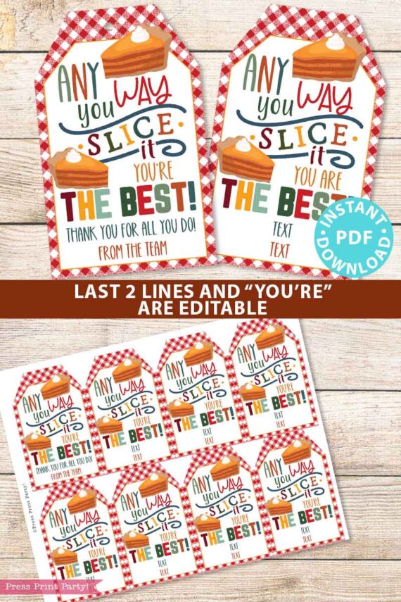 Fall Thanksgiving Tag for Pie, Thank You Gift Tags Printable, Any Way You Slice It You're The Best, Nurse, Staff, Editable, INSTANT DOWNLOAD Press Print Party