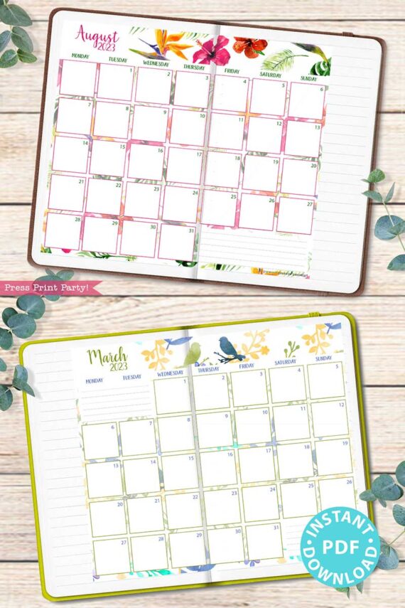 press print party2023 Calendar Printable Bundle, Watercolor design, Bullet Journal Inserts, Monthly Calendar, Daily Routine Tracker, INSTANT DOWNLOAD monday start