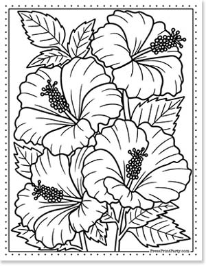 Hibiscus flowers coloring - 20 Coloring pages of flowers for kids and adults- new and unique - Press Print Party!
