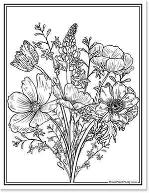 wildflower coloring for adults - 20 Coloring pages of flowers for kids and adults- new and unique - Press Print Party!