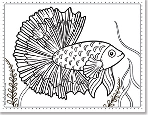 Siamese fighting fish - 15 Free Printable Fish Coloring Pages for Kids of All Ages - fish coloring book, fish coloring sheets for under the sea fun - Press Print Party!