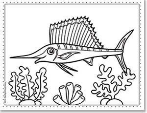 sailfish - 15 Free Printable Fish Coloring Pages for Kids of All Ages - fish coloring book, fish coloring sheets for under the sea fun - Press Print Party!