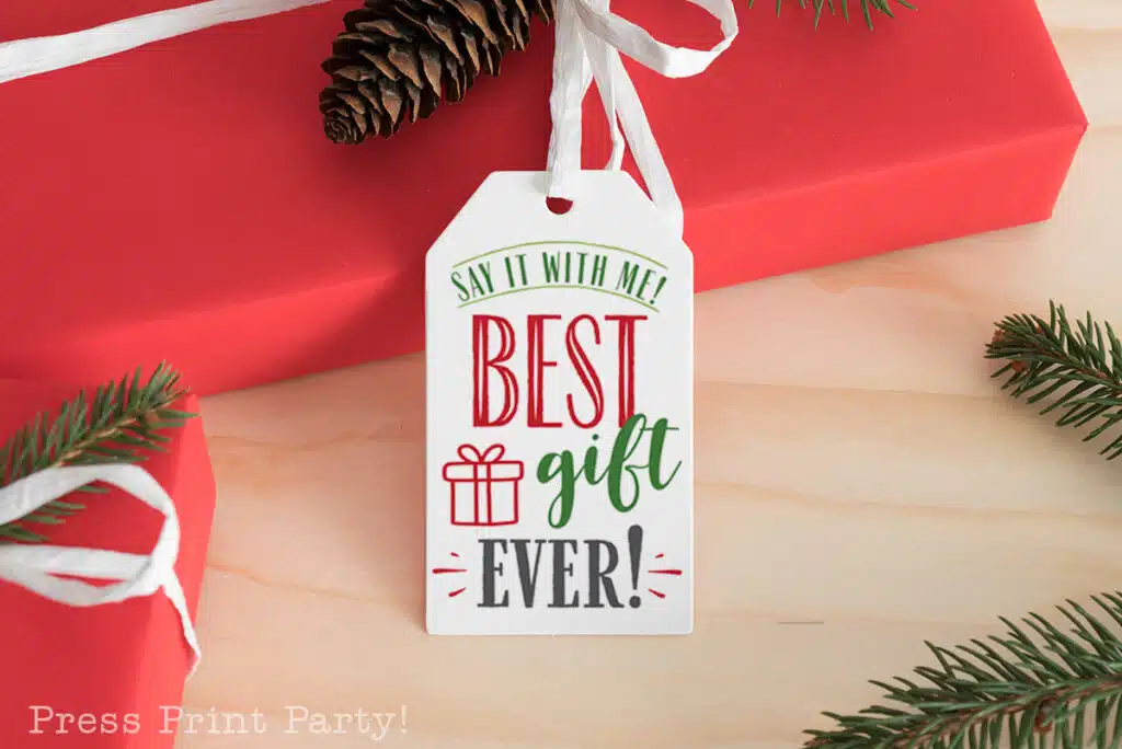 12 free printable funny christmas tags to spread cheer. funny gift tags - best gift ever - snarky, sarcastic, witty - for christmas gifts - Press Print Party!