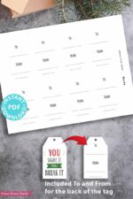 80 Funny Christmas Gift Tags Printable- Set 1 - Press Print Party!