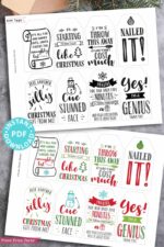160 Funny Christmas Tags Printable - Sets 1&amp;2 - Press Print Party!