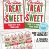 a little christmas treat for someone sweet christmas gift tag with 2 lines of editable text - red and green - Press Print Party!