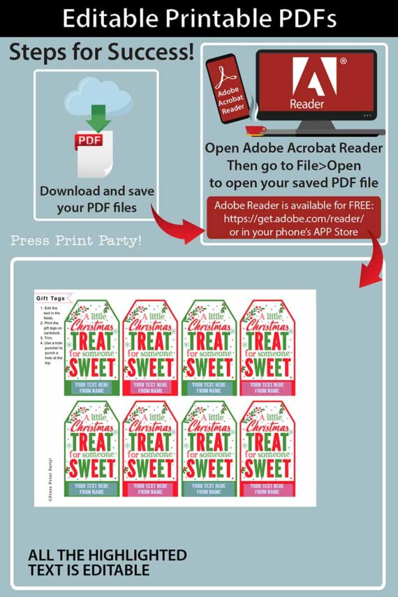 a little christmas treat for someone sweet christmas gift tag with 2 lines of editable text - red and green - Press Print Party!