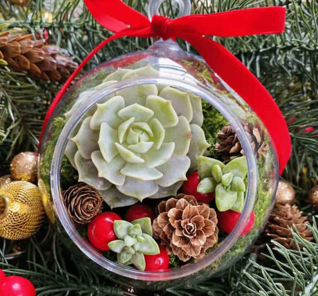 live succulent ornaments - 55 DIY Christmas Ornaments for Kids to Make and feel proud of for little kids and big kids - Press Print Party