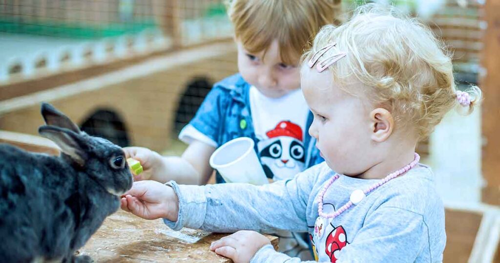 petting zoo - 15 fun birthday party activities for toddlers and young kids - Press Print Party!