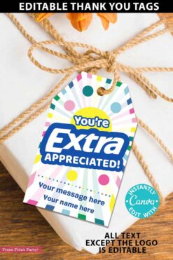 Extra Gum Thank You Gift Tags Printable, Teacher Appreciation, Nurse, Staff, Driver, Assitant, Extra gum thank you sayings, extra gum thank you tags, Editable, gift idea, INSTANT DOWNLOAD press print party